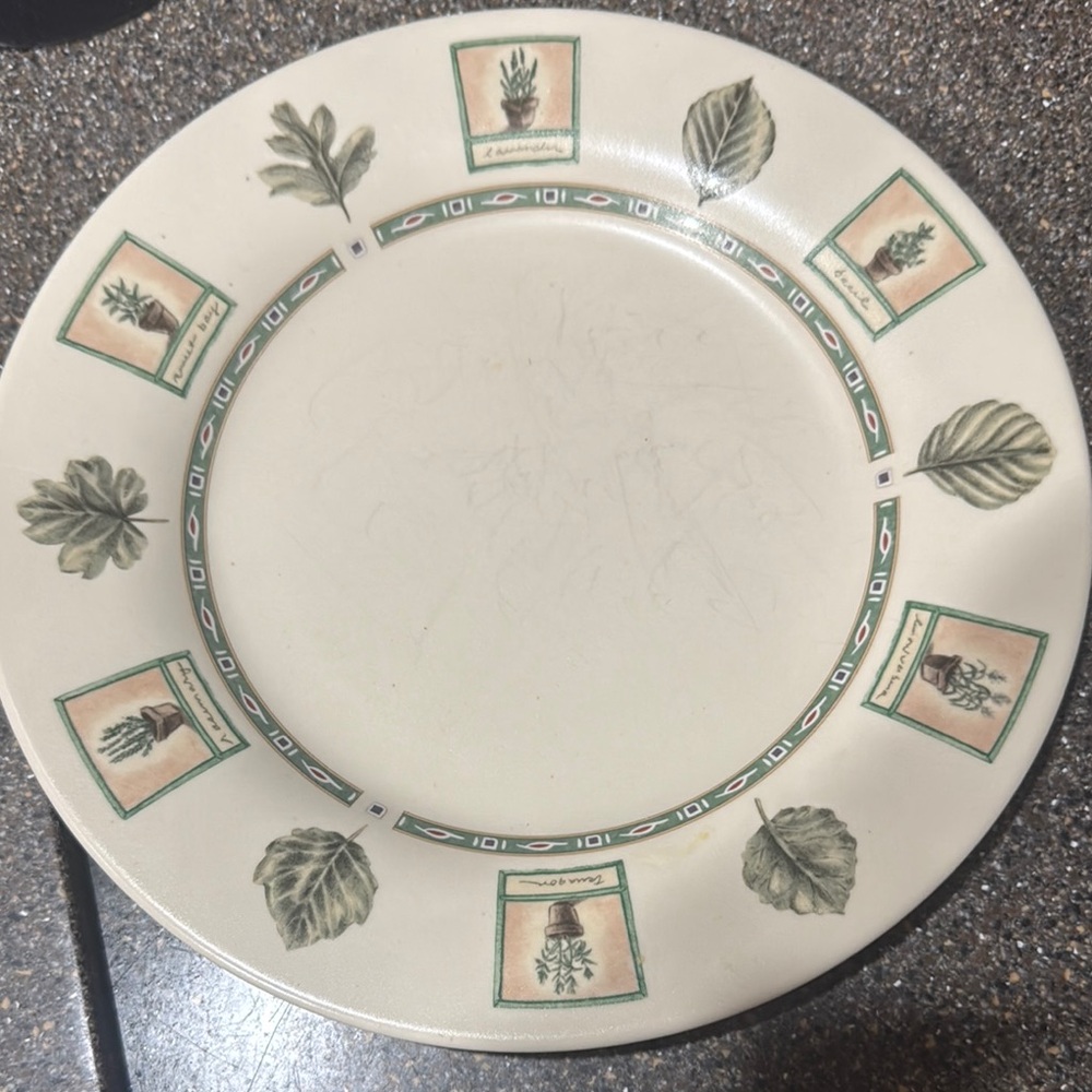 Pfaltzgraff Cream and Green Dinnerware Plate
